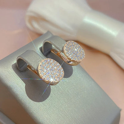 Full Paved Shiny Natural Zircon Drop Earrings